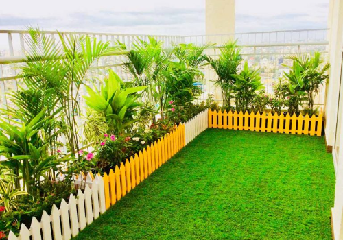 Terrace Garden Services Provider in Noida